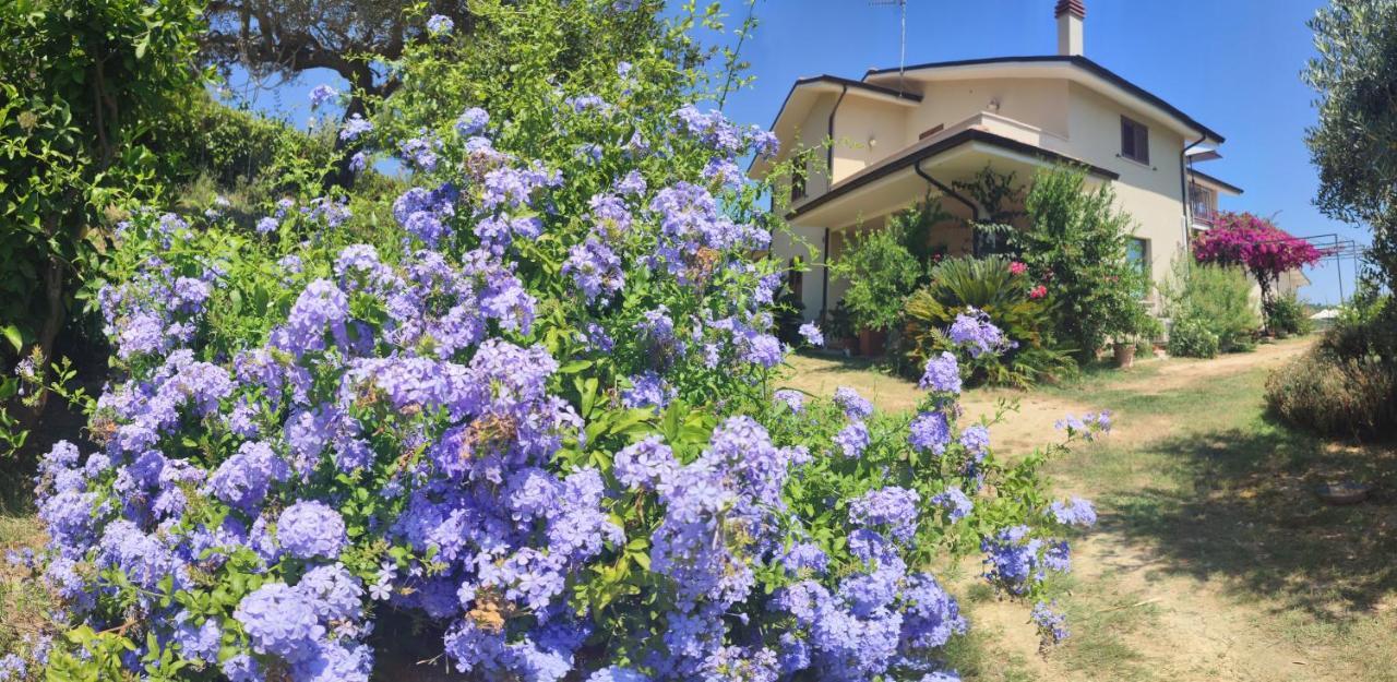 Апартаменти La Casa Di Stefania Pollutri Екстер'єр фото