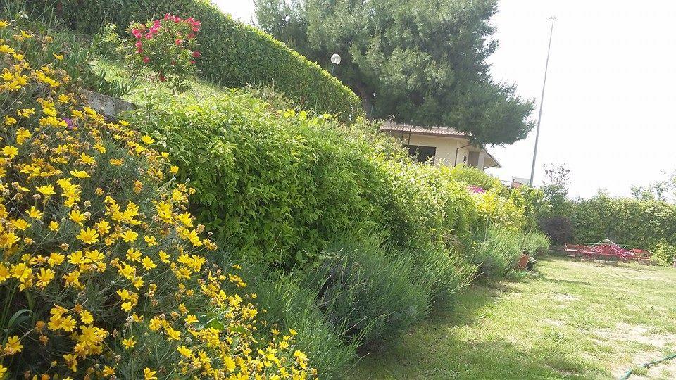 Апартаменти La Casa Di Stefania Pollutri Екстер'єр фото