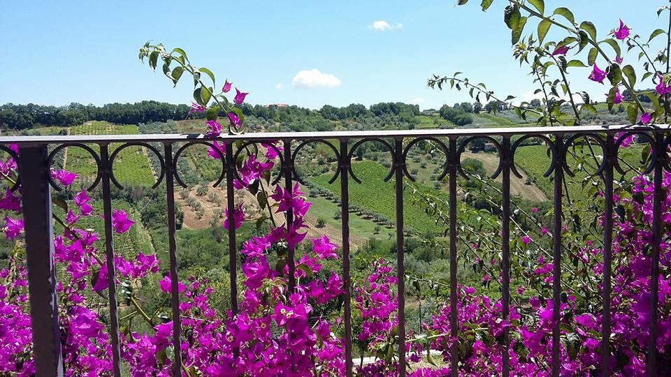 Апартаменти La Casa Di Stefania Pollutri Екстер'єр фото